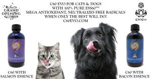 C60 Evo for Cats and Dogs